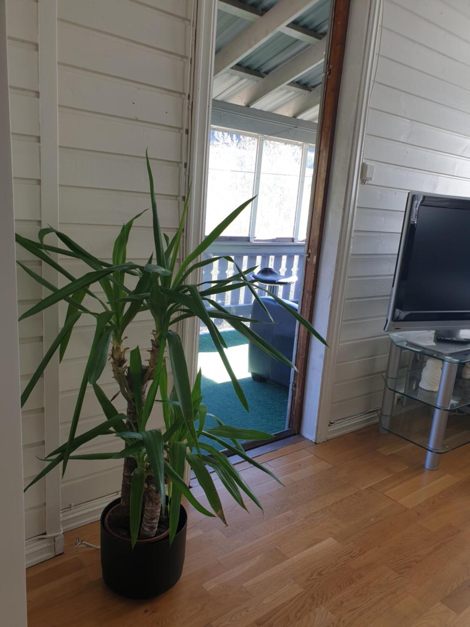 Holiday Home ゴール エクステリア 写真